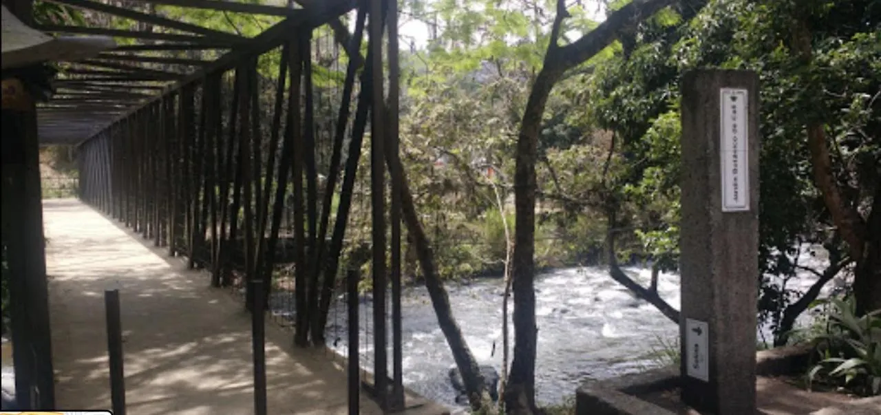 Finca Villa Chalet Del Rio Cali Farm Villa Chalet Cali River 0*,